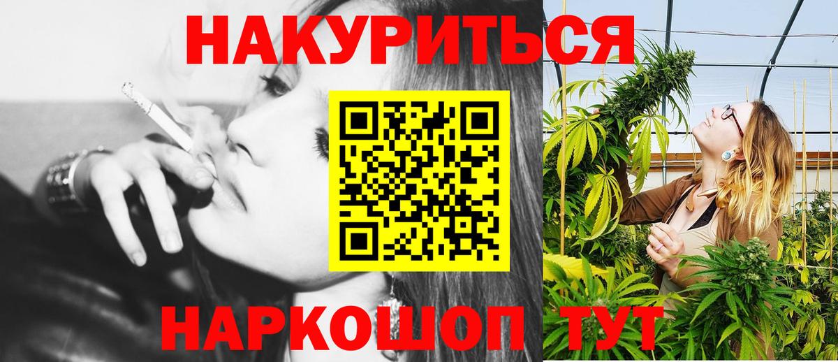 Каннабис конопля  Конопля сатива  Нововоронеж  Бошки марихуана ГИДРОПОН  Вход с VPN 